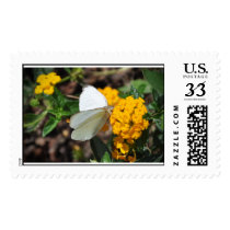 White Butterfly Stamp