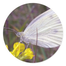 white butterfly stickers by VioDePhoto white butterfly stickers