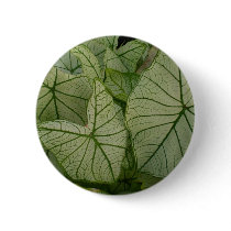 White caladium buttons by bonnievoyage White caladium buttons