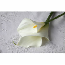 white calla lilies photo sculpture medium
