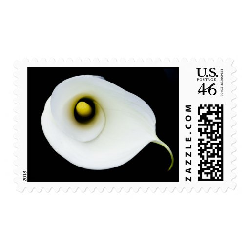 White Calla Lilly Stamp