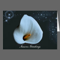 White Calla Lily Christmas Card cards