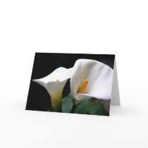 White Calla Lily Flower Greeting Card
