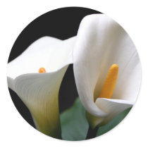 White Calla Lily Flower Sticker stickers