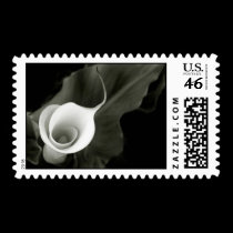 White Calla Lily postage by kokobaby White Calla Lily postage