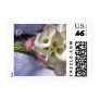White Calla Lily RSVP