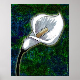 White Calla Lily (Semi-Gloss Poster)