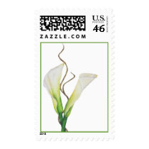 White Calla Lily Stamp stamps