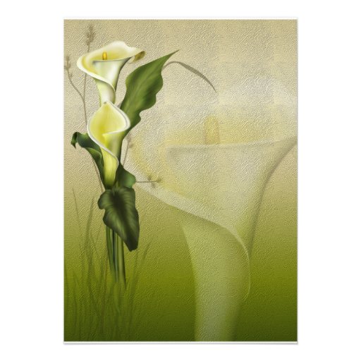 White Calla Wedding Suite Announcements