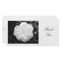 White Camelia - Thank You photo cards