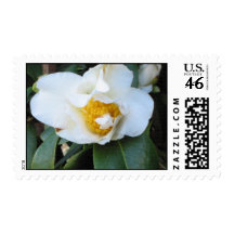 White Camellia 2 Postage Stamps