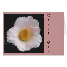 White Camellia 2a, ThankYou Greeting Card