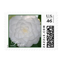 White Camellia Love Stamp