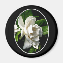White Camellia Magnets