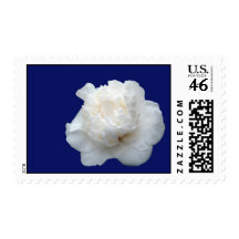 White camellia postage stamps