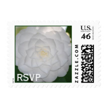 White Camellia RSVP Stamp