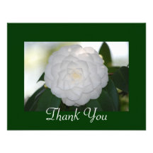 White Camellia Thank You Cards Invitations