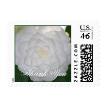 White Camellia Thank You Stamp