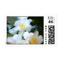 White Camellias Postage