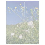 white Canada anemone and buttercups, Quebec, Canad Letterhead Design