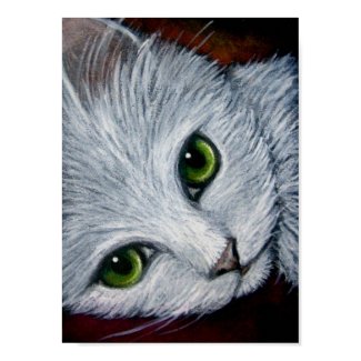 WHITE CAT 8