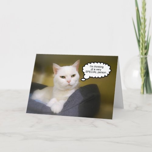 White Cat Birthday Humor Card card