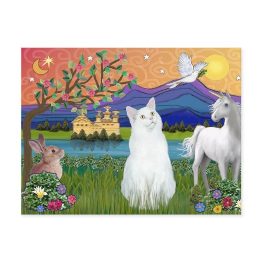 White American Short Haired Cat