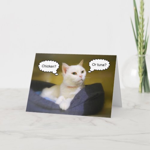 White Cat Funny Birthday Card card
