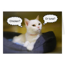 White Cat Funny Birthday Card