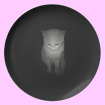White Cat on a Black Plate Cat Plate Black & White plates