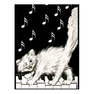 White Cat on Piano Keys Post Cards