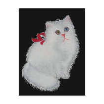 White Cat postcards
