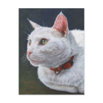 White Cat Shiro Painting Art by ArtByAkiko Postcards