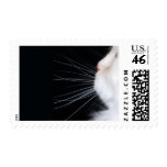 White Cat Stamps stamps