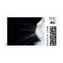 White Cat Stamps