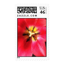 White Center star flowers Postage
