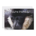 White Cheeked Gibbon Pastel Custom Invitations