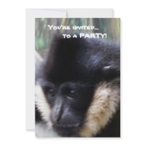 White Cheeked Gibbon Pastel Personalized Announcements