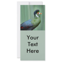 White-Cheeked Turaco rack cards by ZooCandy White-Cheeked Turaco rack cards
