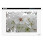 White Cherry Blossoms Sakura Flowers Floral Photo