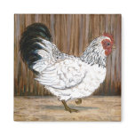 White Chicken Magnet magnets