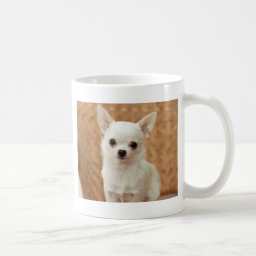 White Chihuahua Coffee Mug | Zazzle