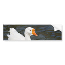 White Chinese Goose Bumper Stickers