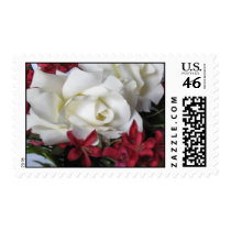 White Chocolate Roses Postage Stamp