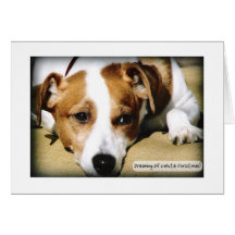 White Christmas Greeting Cards