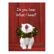 White Christmas kitten Post Cards