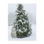 White Christmas Postcard