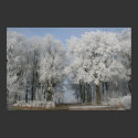 White Christmas posters