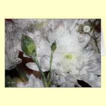 White Chrysanthemum Blank Card