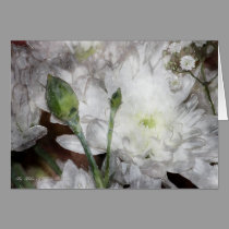 White Chrysanthemum Blank Card cards